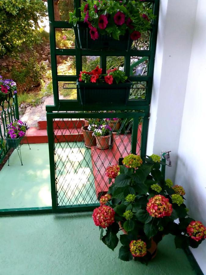 Apartman Kristin Подаца Екстериор снимка