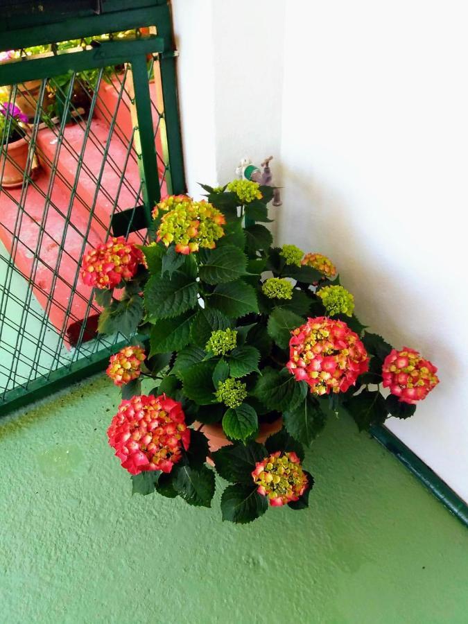 Apartman Kristin Подаца Екстериор снимка